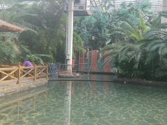 android_upload_pic-龙达温泉生态城