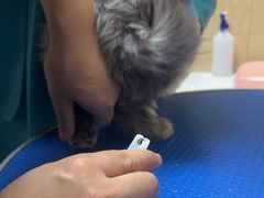 -佳雯宠物医院·皮肤科·内外科(春晓路分院)