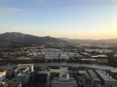 -长富金茂大厦