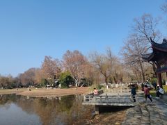 -堤角公园