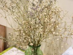 干花-猫的天空之城概念书店(杭州南宋御街店)