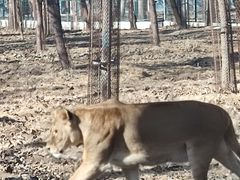 -秦皇岛野生动物园