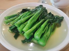 盐水菜心-观山美厨·精致粤菜(西樵店)