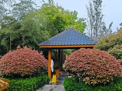 -郑州银基黄帝宫御温泉