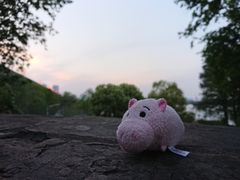 -项记面馆(明瓦廊店)
