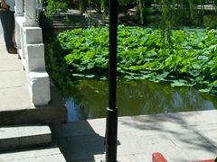 -满都海公园
