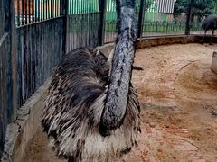 -鄂尔多斯野生动物园