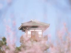 -宝鸡植物园