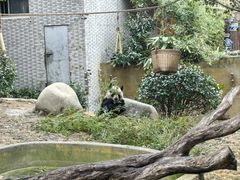 -常州淹城野生动物世界