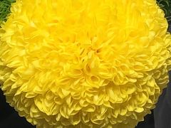 -南堂馆·新川菜(春熙路店)