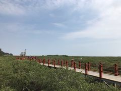 -北海金海湾红树林生态旅游区