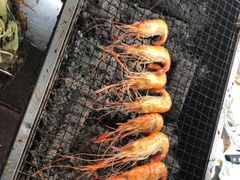 -大象营野Life营地·钓虾(坦尾店)