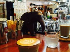 -Be Lived Cafe比例咖啡(摩天轮店)