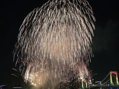 -台场海滨公园船码头