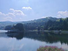 -庐山风景区花径公园