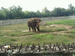 -西安秦岭野生动物园