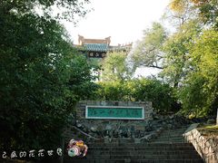 -龙沙公园