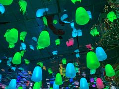 -海合安青岛极地海洋公园