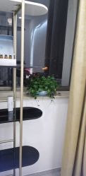 -苗方清颜·祛痘皮肤管理