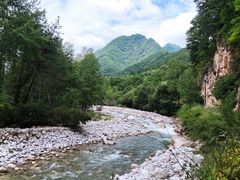 -黑河国家森林公园