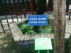 -水绘园