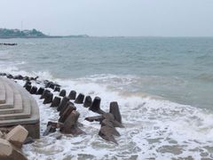 -渡海小渔村.老辈日照菜
