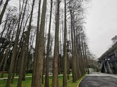 -上海月湖雕塑公园