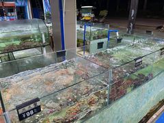 -聚鲜阁海鲜美食城(香水湾店)