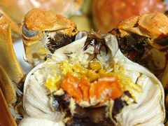 -阳澄湖大闸蟹·琼灵阁牌品牌连锁(吴中总店)