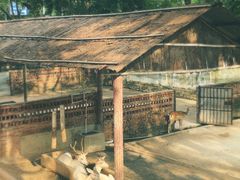 -深圳野生动物园