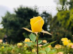 -国家植物园