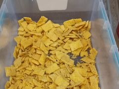 -狗不理(山东路总店)