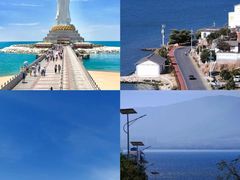 -亚龙湾热带天堂森林公园