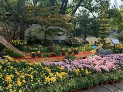 -汇龙潭