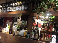 -春草居酒屋·晴子の店