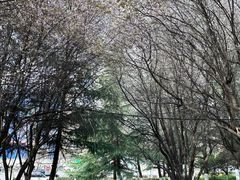 -唐城墙遗址公园