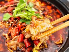 自贡S水煮牛肉-苦尽酒馆·川菜(鼓楼店)