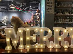 -咖法森林·咖啡  酒吧(天河店)