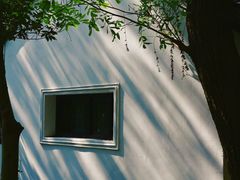 -上海佘山国家森林公园天马山园