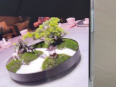 -上海金桥红枫万豪酒店-万豪中餐厅