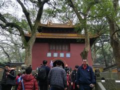 -普陀山风景名胜区-法雨禅寺