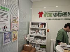 -悦宠凯宝动物医院·牙科·皮肤科(朝阳北路店)