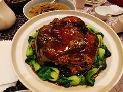 -上海安亭别墅花园酒店