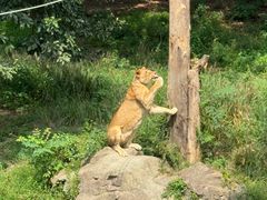 -宁波野生动物园