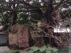 -乌山风景区