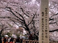 -名古屋城