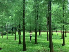 -晓港公园
