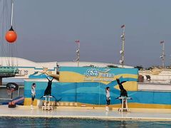 -秦皇岛乐岛海洋王国