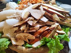 -菌海森林·非遗野生菌火锅(西山区滇池路摩根道店)