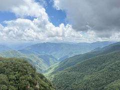 -牛背梁国家森林公园